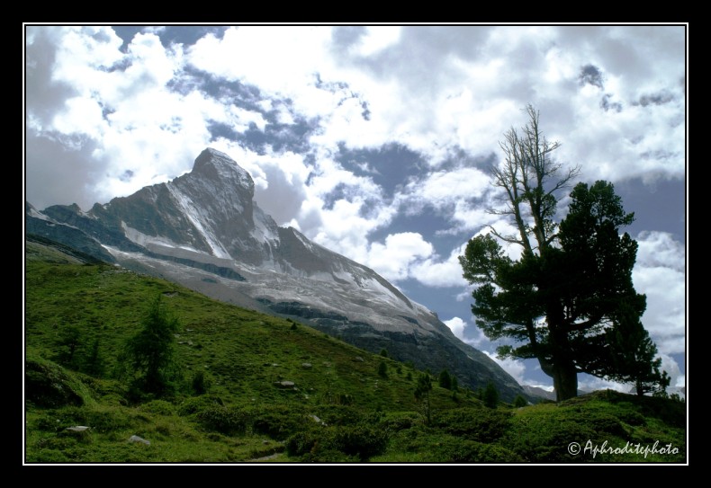 17 Matterhorn im Sommer